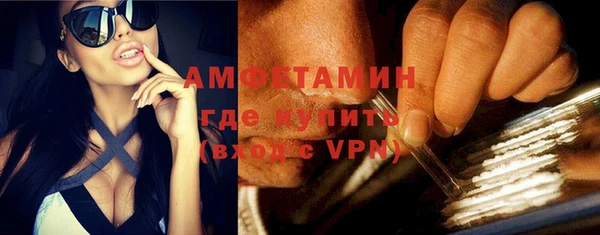 твердый Арсеньев