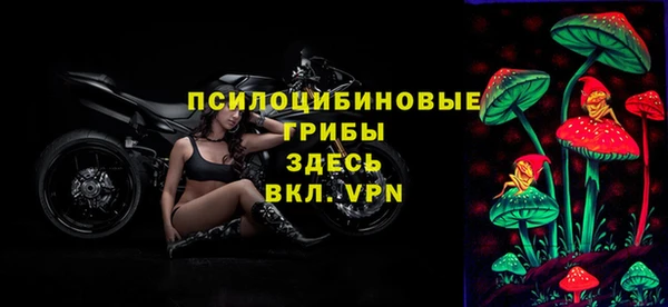 твердый Арсеньев