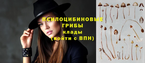 твердый Арсеньев