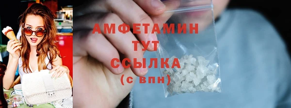твердый Арсеньев