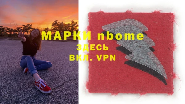 твердый Арсеньев