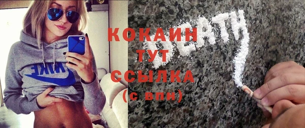 твердый Арсеньев