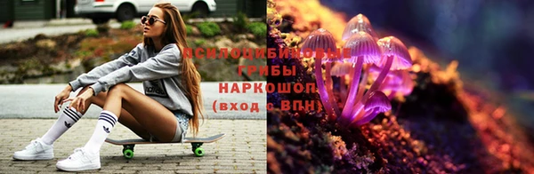 mdpv Саяногорск