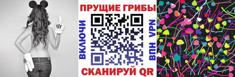 Псилоцибиновые грибы мицелий Сосновоборск